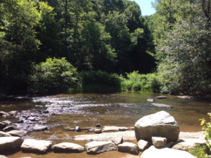 An Intro to Forest Bathing and Its Benefits